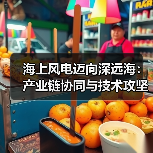 海上风电迈向深远海:产业链协同与技术攻坚如何破局?(图4) 海上风电迈向深远海:产业链协同与技术攻坚如何破局?(图4)