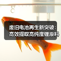 废旧电池再生新突破:高效提取高纯度锂原料(图4) 废旧电池再生新突破:高效提取高纯度锂原料(图4)