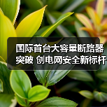 国际首台大容量断路器突破 创电网安全新标杆(图2) 国际首台大容量断路器突破 创电网安全新标杆(图2)