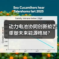 动力电池协同创新能否重塑未来能源格局?(图3) 动力电池协同创新能否重塑未来能源格局?(图3)