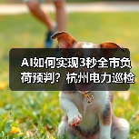 AI如何实现3秒全市负荷预判?杭州电力巡检机器人揭秘(图3) AI如何实现3秒全市负荷预判?杭州电力巡检机器人揭秘(图3)