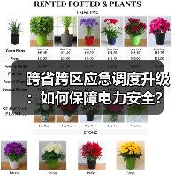 跨省跨区应急调度升级:如何保障电力安全?(图1) 跨省跨区应急调度升级:如何保障电力安全?(图1)