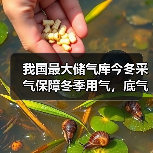 我国最大储气库今冬采气保障冬季用气,底气从何而来?(图1) 我国最大储气库今冬采气保障冬季用气,底气从何而来?(图1)