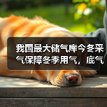 我国最大储气库今冬采气保障冬季用气,底气从何而来?(图3) 我国最大储气库今冬采气保障冬季用气,底气从何而来?(图3)