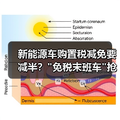 新能源车购置税减免要减半? 新能源车购置税减免要减半?