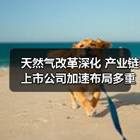 天然气改革深化 产业链上市公司加速布局多重机遇(图1) 天然气改革深化 产业链上市公司加速布局多重机遇(图1)