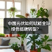 中国光伏如何赋能全球绿色低碳转型?(图3) 中国光伏如何赋能全球绿色低碳转型?(图3)