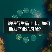 铂钯衍生品上市,如何助力产业抗风险?(图4) 铂钯衍生品上市,如何助力产业抗风险?(图4)