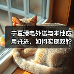 宁夏绿电外送与本地应用并进,如何实现双轮驱动?(图2) 宁夏绿电外送与本地应用并进,如何实现双轮驱动?(图2)