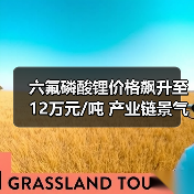 六氟磷酸锂价格飙升至12万元/吨 产业链景气周期开启?(图2) 六氟磷酸锂价格飙升至12万元/吨 产业链景气周期开启?(图2)