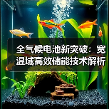 全气候电池新突破:宽温域高效储能技术解析(图2) 全气候电池新突破:宽温域高效储能技术解析(图2)