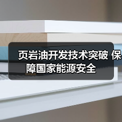页岩油开发技术突破 保障国家能源安全(图3) 页岩油开发技术突破 保障国家能源安全(图3)