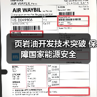 页岩油开发技术突破 保障国家能源安全(图4) 页岩油开发技术突破 保障国家能源安全(图4)