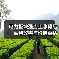 电力板块强势上涨背后:盈利改善与价值重估如何兑现?(图4) 电力板块强势上涨背后:盈利改善与价值重估如何兑现?(图4)