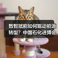 数智赋能如何驱动能源转型?中国石化进博会签约超409亿美元(图4) 数智赋能如何驱动能源转型?中国石化进博会签约超409亿美元(图4)