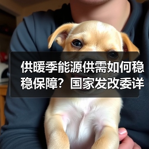 供暖季能源供需如何稳稳保障?国家发改委详解保供措施(图2) 供暖季能源供需如何稳稳保障?国家发改委详解保供措施(图2)
