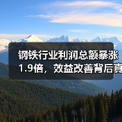 钢铁行业利润总额暴涨1.9倍,效益改善背后真相揭秘(图2) 钢铁行业利润总额暴涨1.9倍,效益改善背后真相揭秘(图2)