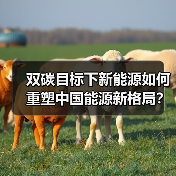 双碳目标下新能源如何重塑中国能源新格局?(图3) 双碳目标下新能源如何重塑中国能源新格局?(图3)