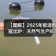 【图解】2025年能源数据出炉:天然气生产同比增长6.2%(图3) 【图解】2025年能源数据出炉:天然气生产同比增长6.2%(图3)