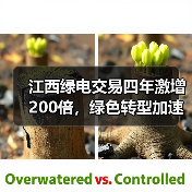 江西绿电交易四年激增200倍，绿色转型加速！（图4）
