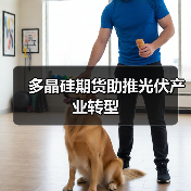 多晶硅期货助推光伏产业转型（图2）