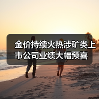 金价持续火热涉矿类上市公司业绩大幅预喜(图4) 金价持续火热涉矿类上市公司业绩大幅预喜(图4)