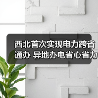 西北首次实现电力跨省通办 异地办电省心省力（图1）