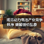 规范动力电池产业竞争秩序 破解低价乱象（图4）