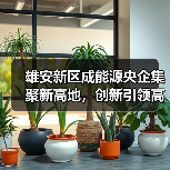 雄安新区成能源央企集聚新高地，创新引领高质量发展（图2）