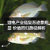 锂电产业链复苏迹象明显 价值回归路径解析（图4）