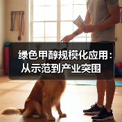 绿色甲醇规模化应用：从示范到产业突围（图4）
