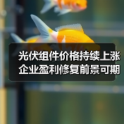 光伏组件价格持续上涨 企业盈利修复前景可期（图1）