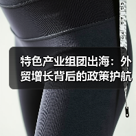 特色产业组团出海：外贸增长背后的政策护航（图2）