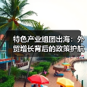 特色产业组团出海：外贸增长背后的政策护航（图4）