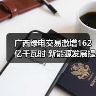 广西绿电交易激增162亿千瓦时 新能源发展提速（图3）