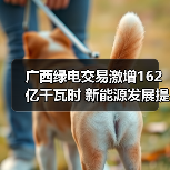 广西绿电交易激增162亿千瓦时 新能源发展提速（图4）