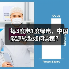 每3度电1度绿电,中国能源转型如何突围?(图3) 每3度电1度绿电,中国能源转型如何突围?(图3)