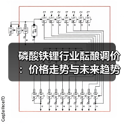 磷酸铁锂行业酝酿调价:价格走势与未来趋势分析(图3) 磷酸铁锂行业酝酿调价:价格走势与未来趋势分析(图3)