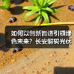 如何以创新智造引领绿色未来?长安解码光伏产业高质量发展之路(图2) 如何以创新智造引领绿色未来?长安解码光伏产业高质量发展之路(图2)
