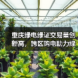 重庆绿电绿证交易量创新高,跨区购电助力绿色转型(图4) 重庆绿电绿证交易量创新高,跨区购电助力绿色转型(图4)