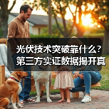 光伏技术突破靠什么?第三方实证数据揭开真相(图1) 光伏技术突破靠什么?第三方实证数据揭开真相(图1)