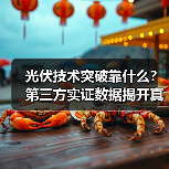 光伏技术突破靠什么?第三方实证数据揭开真相(图2) 光伏技术突破靠什么?第三方实证数据揭开真相(图2)