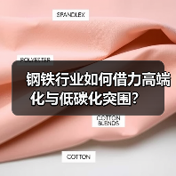 钢铁行业如何借力高端化与低碳化突围?(图2) 钢铁行业如何借力高端化与低碳化突围?(图2)