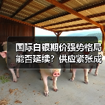 国际白银期价强势格局能否延续?供应紧张成主因(图1) 国际白银期价强势格局能否延续?供应紧张成主因(图1)