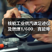 核能工业供汽碳足迹仅及燃煤1/600,真能带来巨幅减排?(图3) 核能工业供汽碳足迹仅及燃煤1/600,真能带来巨幅减排?(图3)