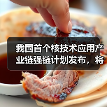 我国首个核技术应用产业链强链计划发布,将如何推动产业升级?(图4) 我国首个核技术应用产业链强链计划发布,将如何推动产业升级?(图4)