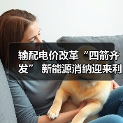 输配电价改革“四箭齐发” 新能源消纳迎来利好（图4）