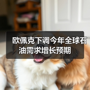 欧佩克下调今年全球石油需求增长预期（图4）