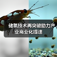 储氢技术再突破助力产业商业化提速(图3) 储氢技术再突破助力产业商业化提速(图3)