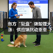 各方“复盘”碳酸锂大涨：供应端扰动重重 下游需求旺盛（图1）